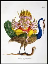Skanda, inciso da Marlet